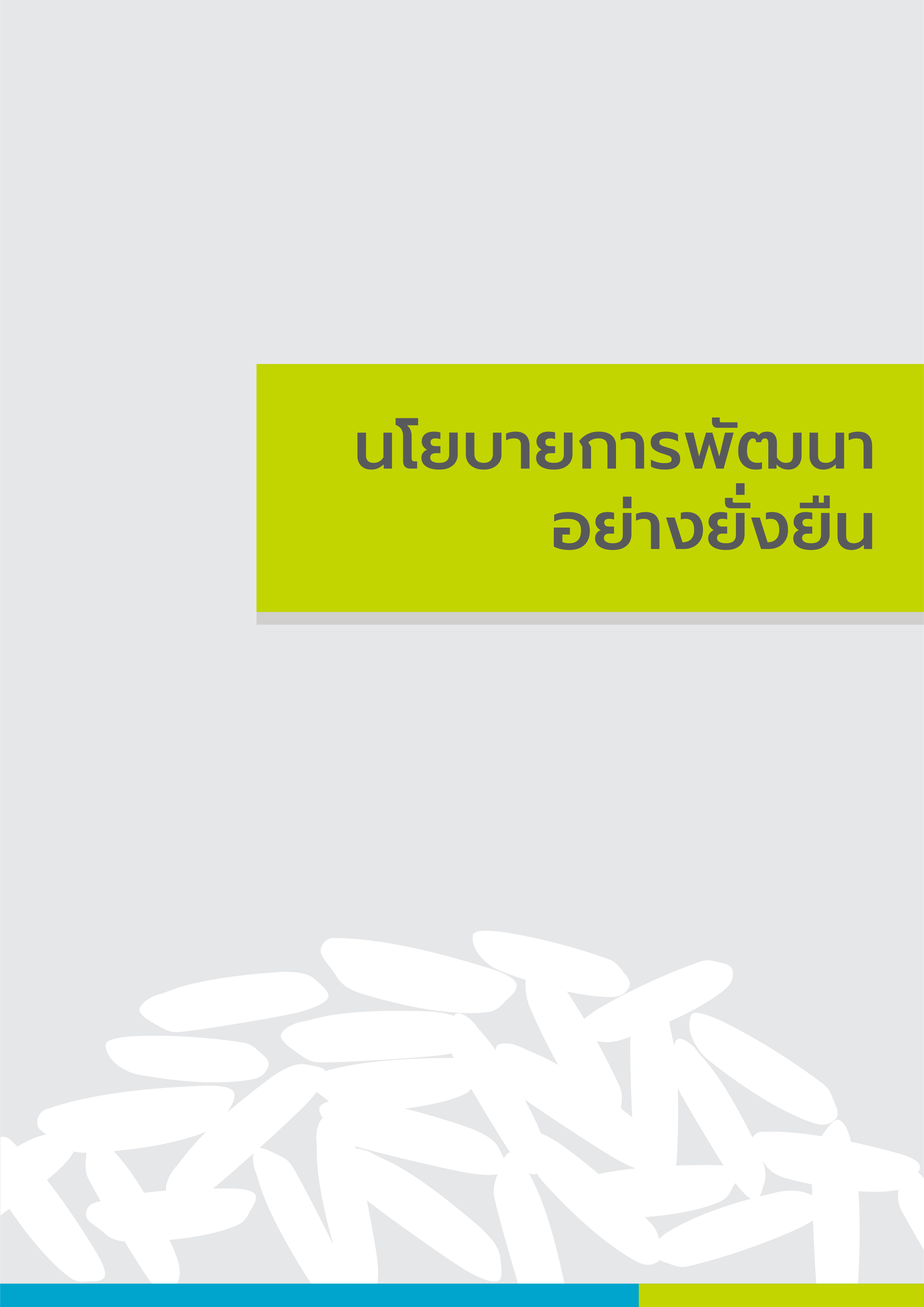 นโยบายการพัฒนาอย่างยั่งยืน