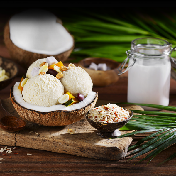 Coconut Ice Cream  with Brown Rice